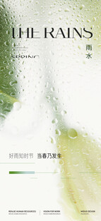 雨水 