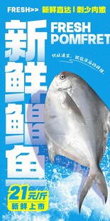 新鲜鲳鱼