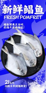 新鲜鲳鱼 