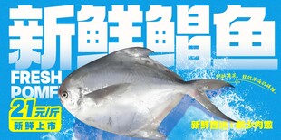 新鲜鲳鱼 