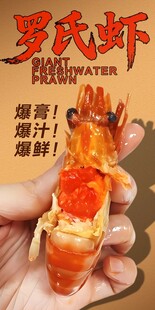 罗氏虾 
