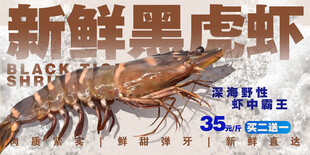  黑虎虾