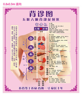 中医背诊示意图