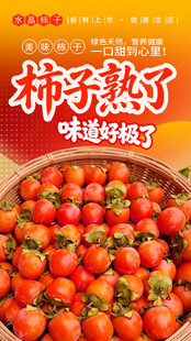  柿子熟了 