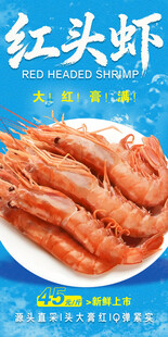 红头虾 