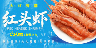 红头虾 