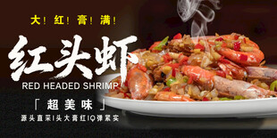 红头虾 