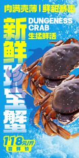 珍宝蟹