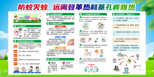 基孔肯雅热