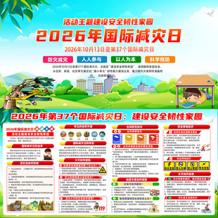 2026年国际减灾日主题展板