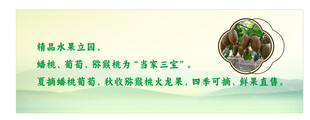 猕核桃背景文化墙绿色清新海报
