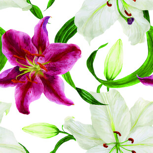 百合花