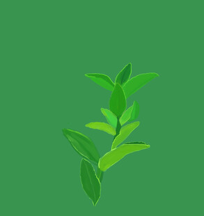 茶叶免扣元素
