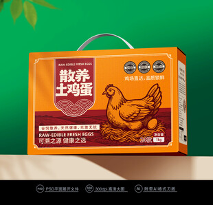 鸡蛋包装