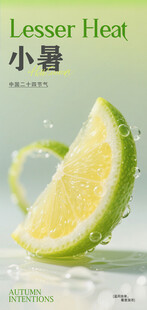 节气海报