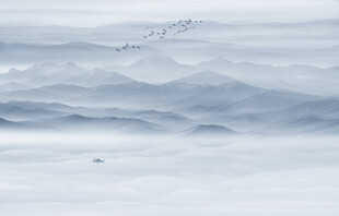 山水水墨画