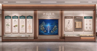 中医文化墙