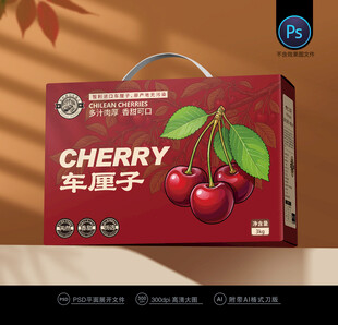 樱桃包装