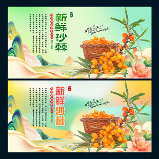 沙棘