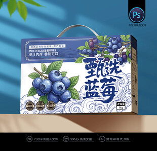 蓝莓包装