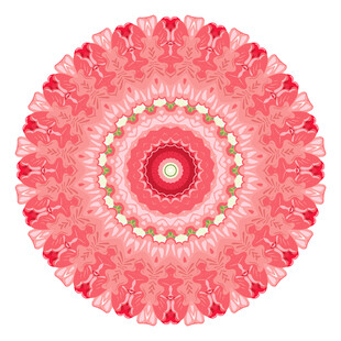 圆形粉红色精美花纹